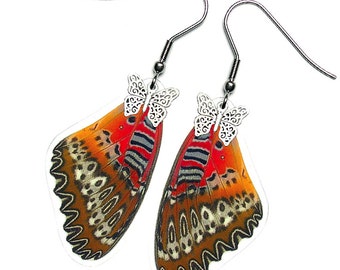 Real Butterfly Wing Earrings (Biblis Forewing - E058)