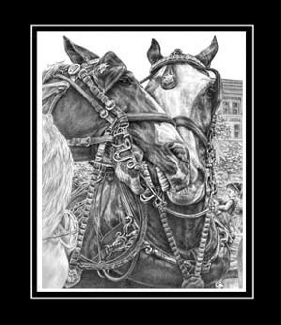 Download Items similar to Clydesdale Draft Horse Drawing - Matted ...