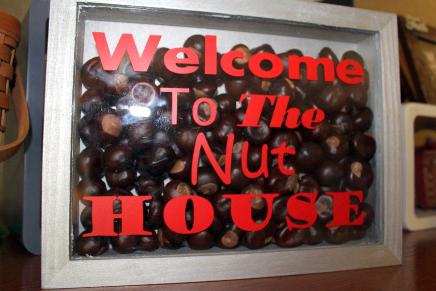 Ohio State Decor To the Nut House Shadow Box