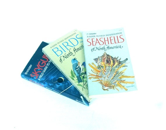 Birds Seashells Sky Gazers Guide Book Bundle Lot Of 3