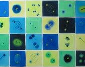 Mitosis in Blue and Green - original watercolor of cell division