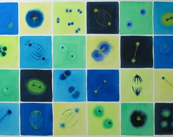 Mitosis in Blue and Green - original watercolor of cell division