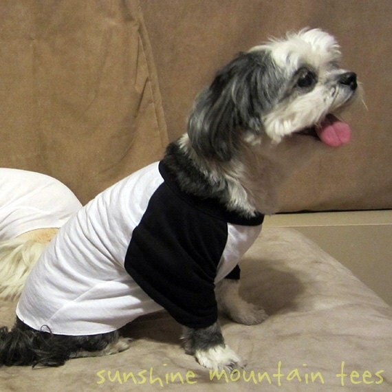 Dog Shirt Big Brother Dog Cute Dog Tshirt Dog Costume