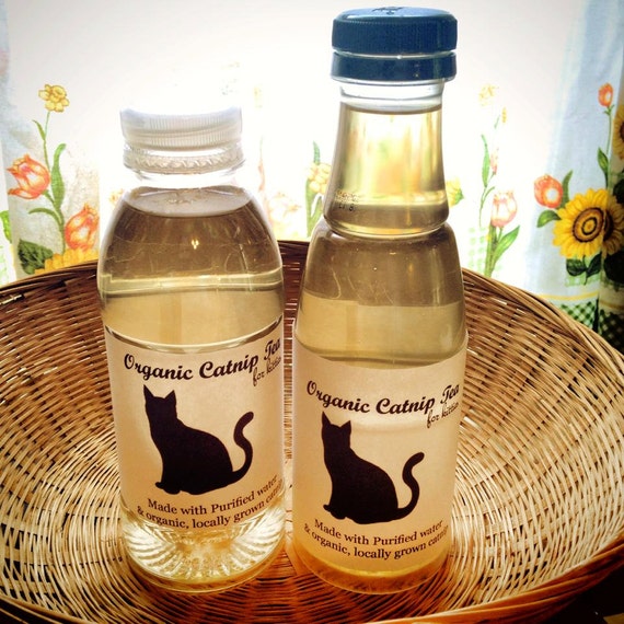 Catnip Tea Refreshing catnip infused water for by 2littlebostons