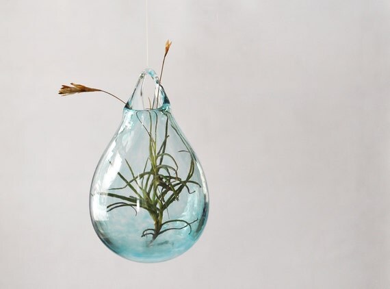 Hängende vase glas / hand geblasenem glaskunst / von avolieglass