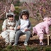 Gray Bunny costume / Baby Costume / Halloween baby Costume/ Kids Costume / Infant Costume