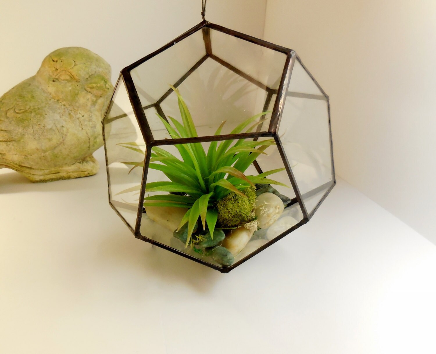 Terrarium Large Hanging Terrarium Clear glass planter modern