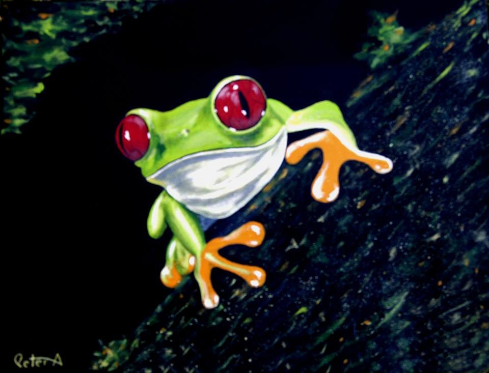 Green Tree Frog Original Acrylic Painting 18 x 24 by artbypeter