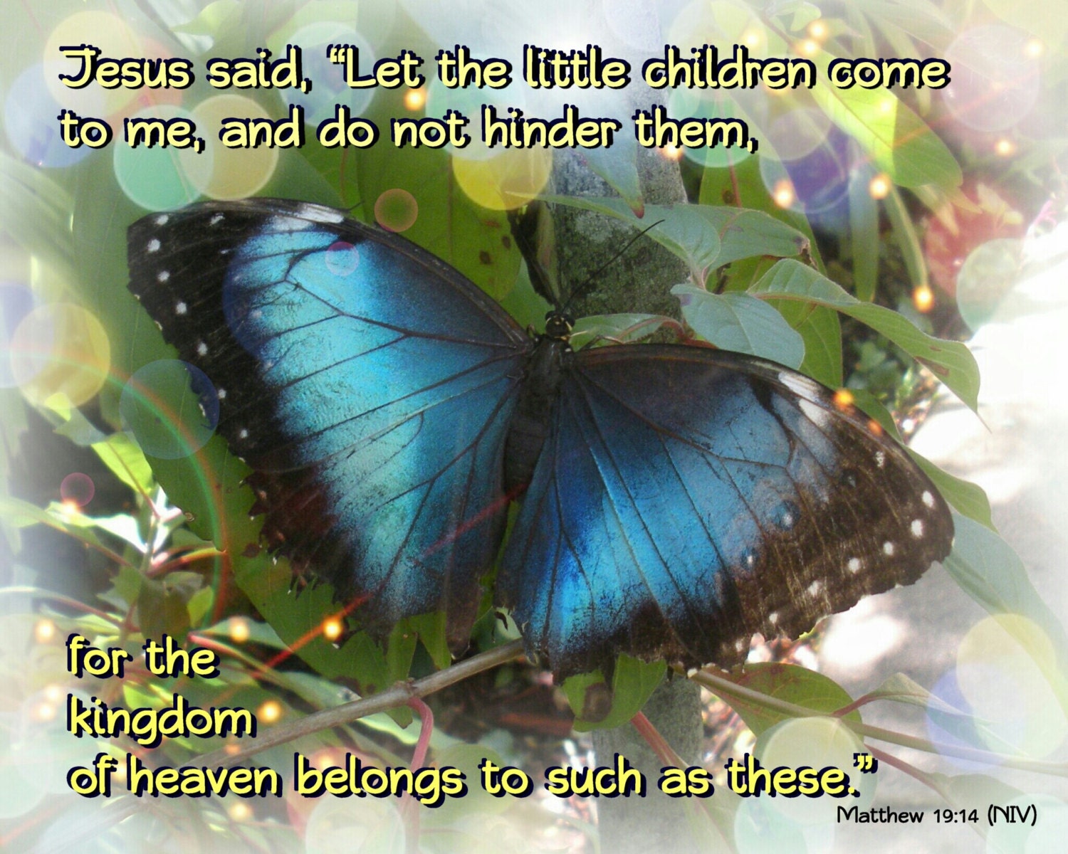 Jesus loves children Butterfly Scripture Art Matthew 1914