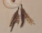 Feather dangling earrings; handmade black - brown jewelry; Native jewellery