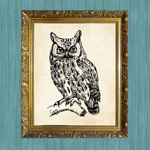 Items similar to Owl Art Owl Print Black Owl Art Wall Art 8 x 10 Owl