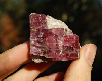 Namibia Red Tourmaline Rubellite w/ Quartz & Mica 229 Carats