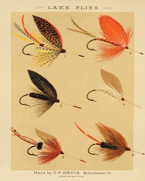 Lake flies fishing print fly fishing art fishing decor art old