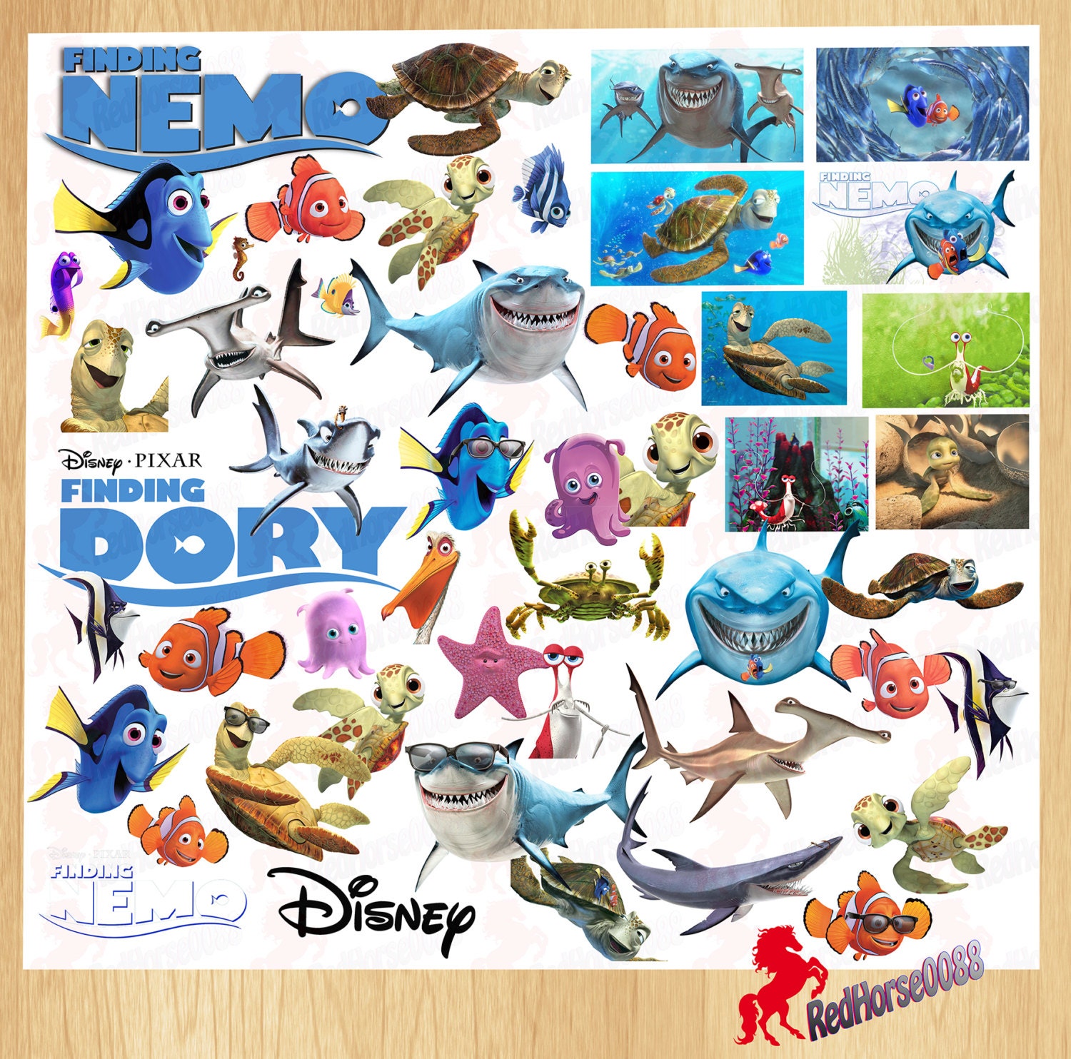 List 93+ Pictures Finding Nemo Characters Names With Pictures Updated