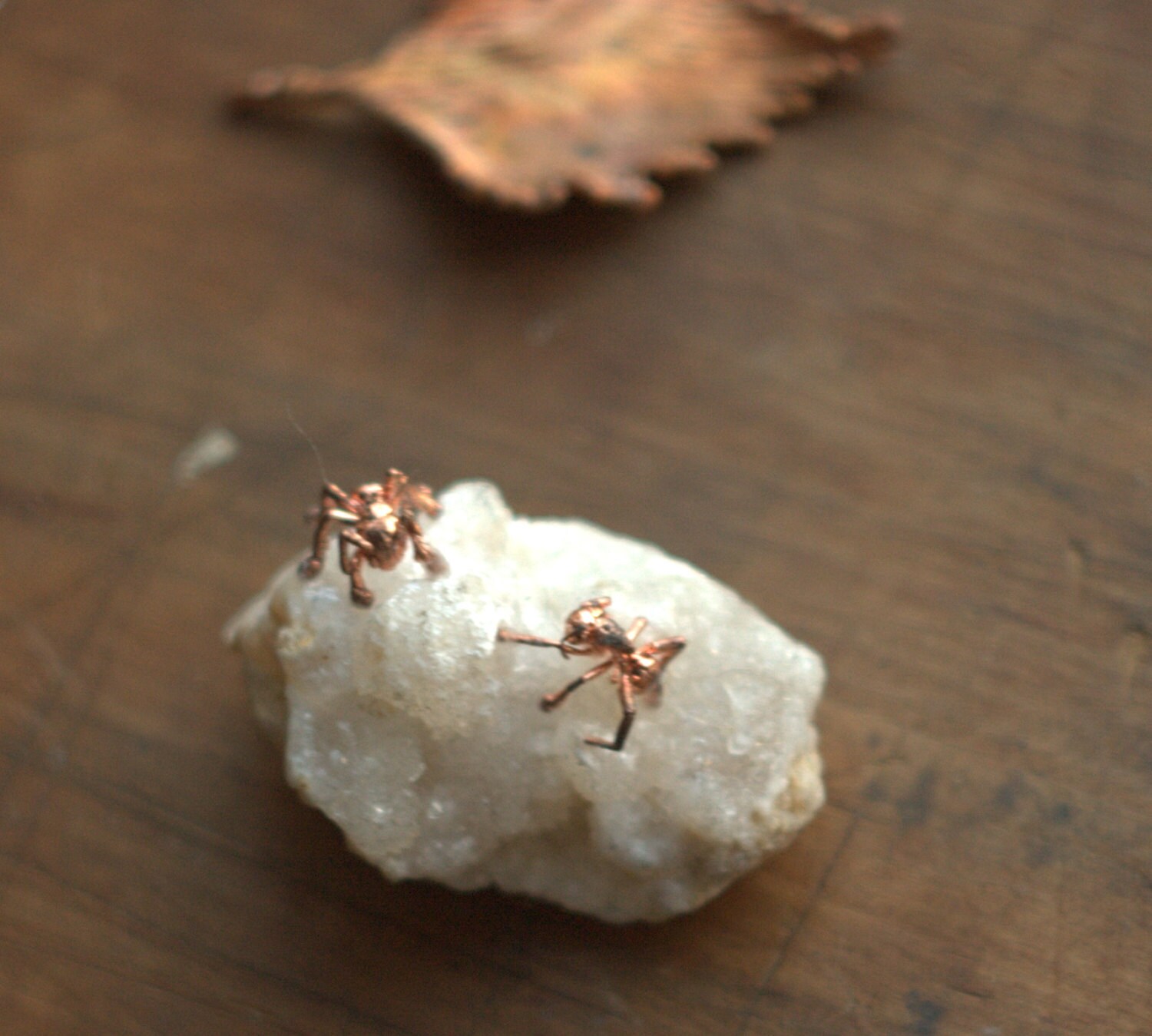 Two real ants electroformed with copper on the piece of