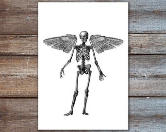 wall art skeleton with wings - angel wings wall decor - HUMAN SKELETON art