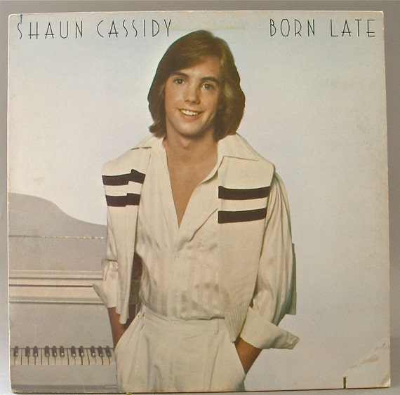 SHAUN CASSIDY Born Late 1977 Vinyl by NetteArtVintage on Etsy
