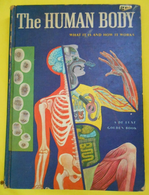 1959 The Human Body A Deluxe Golden Book By Wilson