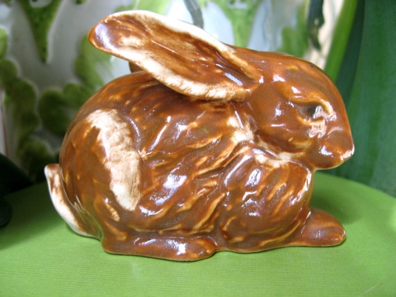 goebel brown bunny