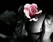 custom 8" x 10" graphics  art photo print- pink rose
