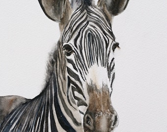 ORIGINAL painting watercolor painting original WATERCOLOR painting watercolor animal painting zebra painting art nursery art 8x10