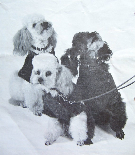 Knitted Coats For Small Dogs Vintage Knitting Pattern dog