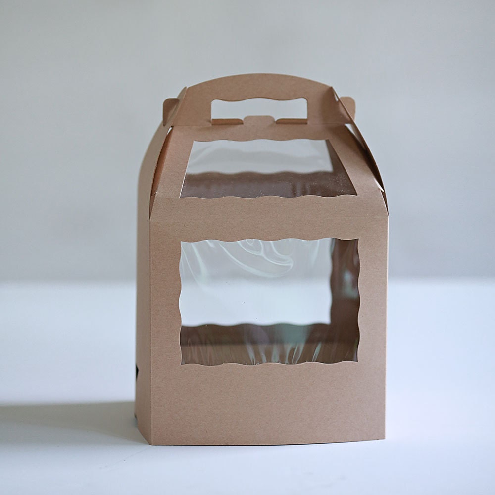 1 Sample Box 8.5 x 6 x 8 inch Kraft or White Cake Pop Box