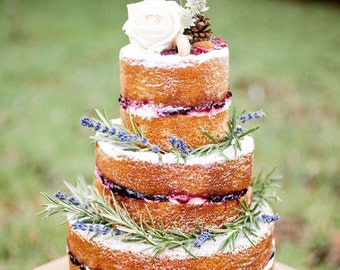 We Did Cake Topper We Did Cake Topper