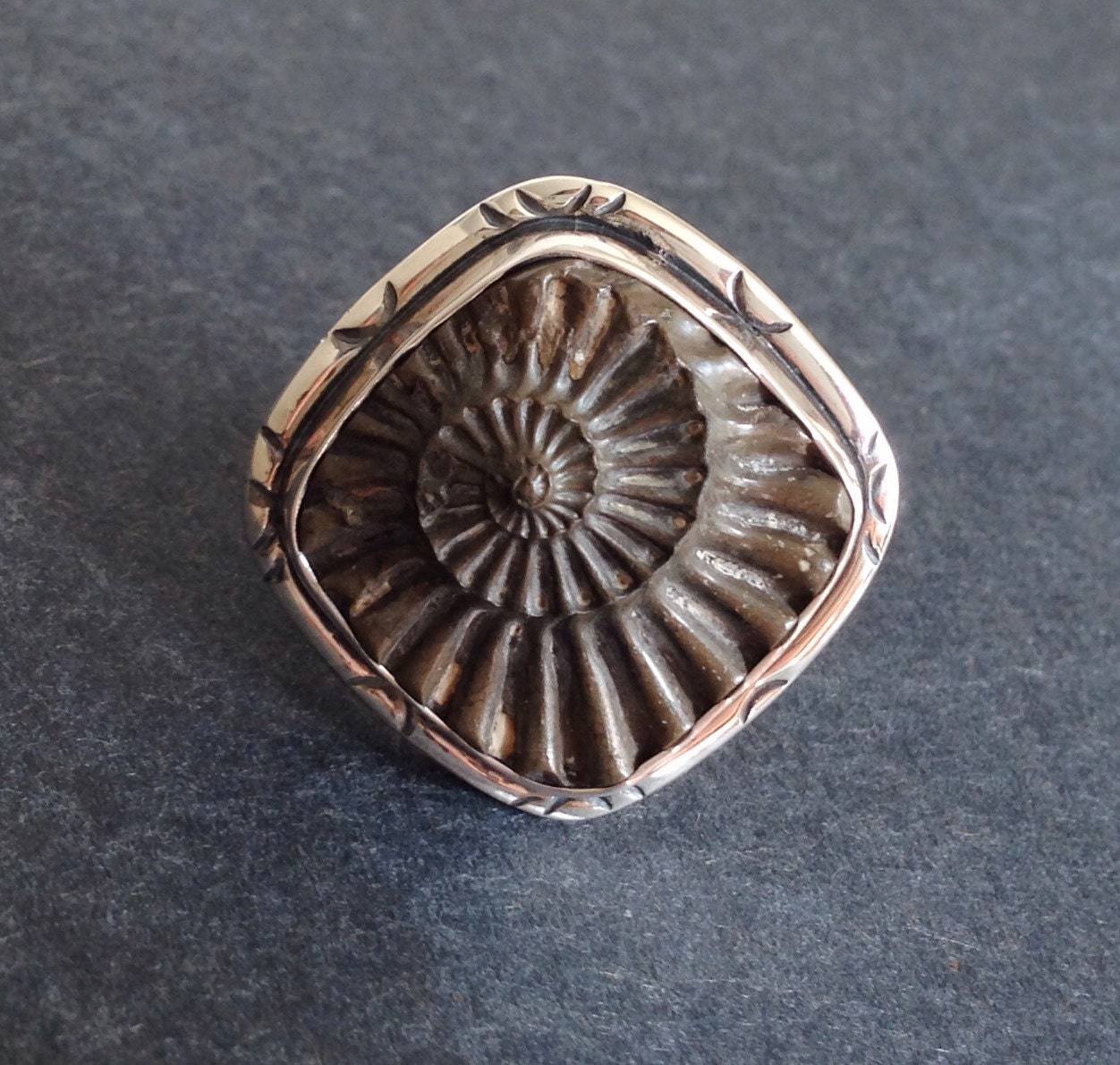 Ammonite Fossil Ring Large Statement Cocktail Silver OOAK