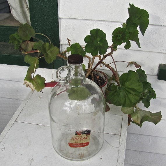 Vintage One Gallon Glass Apple Cider Vinegar Jug with Partial