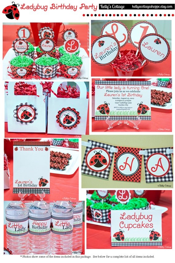Ladybug Birthday Party Mini Package...Custom, Printable DIY Package Il_570xn