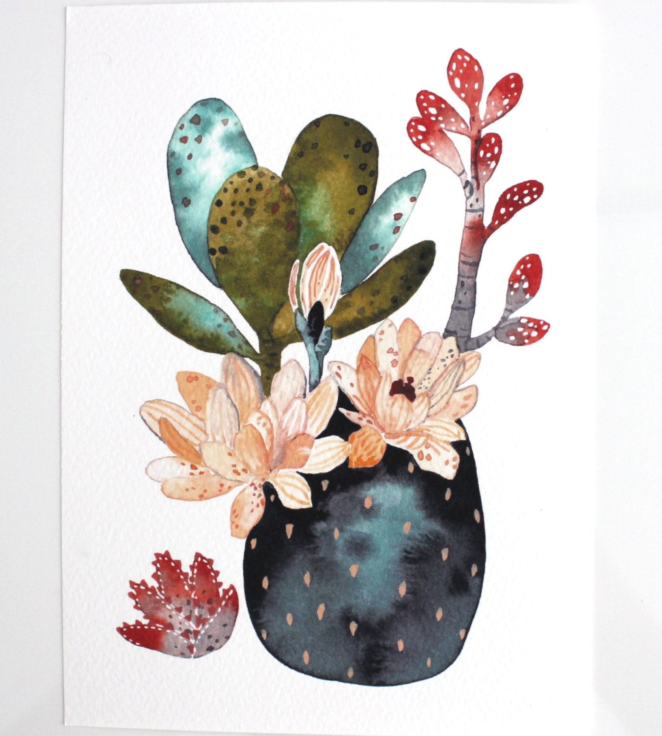  Cactus  Succulent  Painting Watercolor  Art Archival Art by 