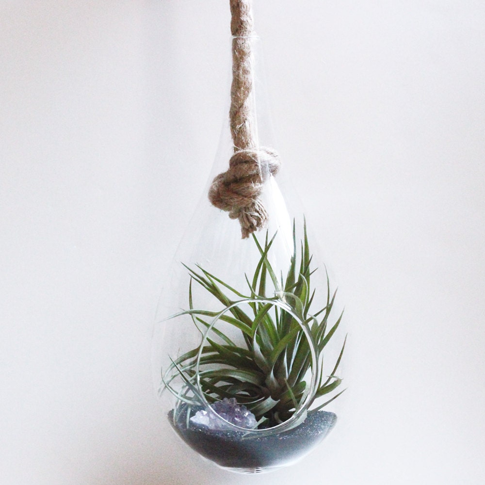 Hanging Rope Terrarium Kit with Amethyst and by BirdAndFeatherCo