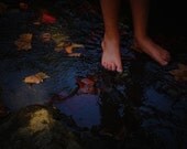 Leaves, #140.  Photography, Art, Dark Woods, Surreal, Red Fall Colors, Creeks, Forests, Water, Natural Wall Decor, Mysterious Nature, Feet