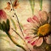Helene Smith