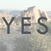 YES