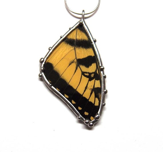 yellow statement butter necklace Wings Butterfly Forewing Butterfly Butterfly made Real with Necklace