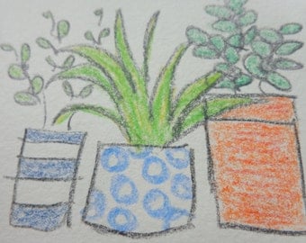 Plants and planters, pot plants, drawing, original drawing, pencil