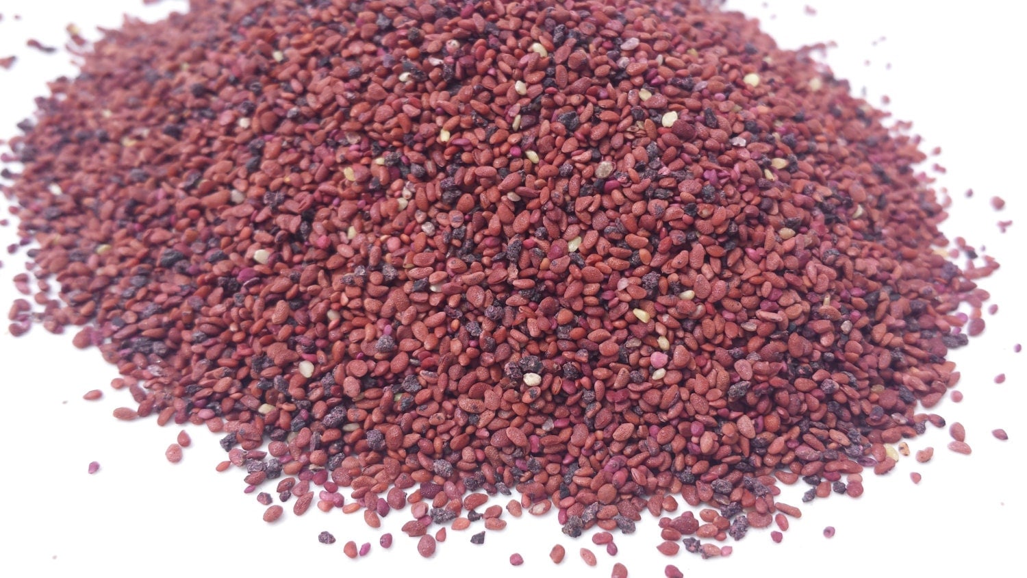 blueberry-seeds-2-ounces