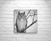 Owl Print, Black and White, Owl Picture, Great Horned Owl, Owl Art, Bird Art, 8 x 8, 10 x 10, 12 x 12, Square Print, Square Art Owl Print, Black and White, Owl Picture, Great Horned Owl, Owl Art, Bird Art, 8 x 8, 10 x 10, 12 x 12, Square Print, Square Art