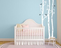 Image Result For Birch Tree Nurserya Image Result For Birch Tree Nurserya