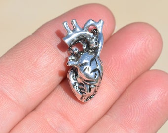 BULK 10 Anatomically Correct Silver Heart Charm SC1436