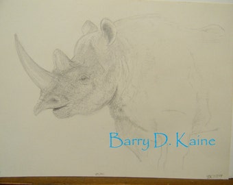 bushman rhinoceros drawing south africa