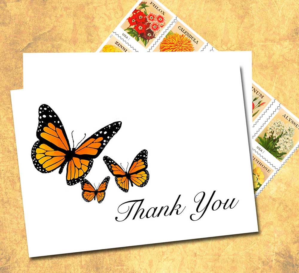 Butterfly Thank You Note Cards Monarch Butterfly By Sferradesigns