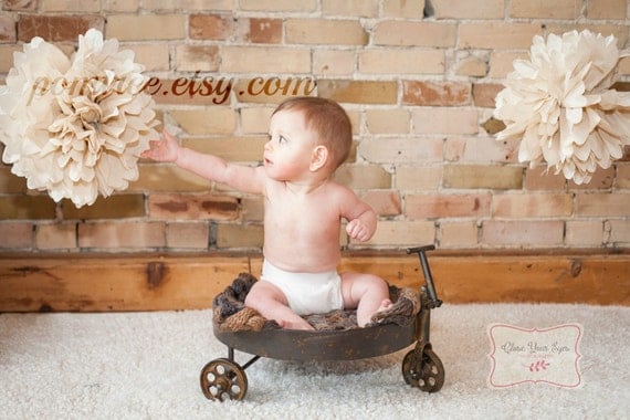 Rustic Shabby Photoshoot Decor 2 Poms Cake Smash