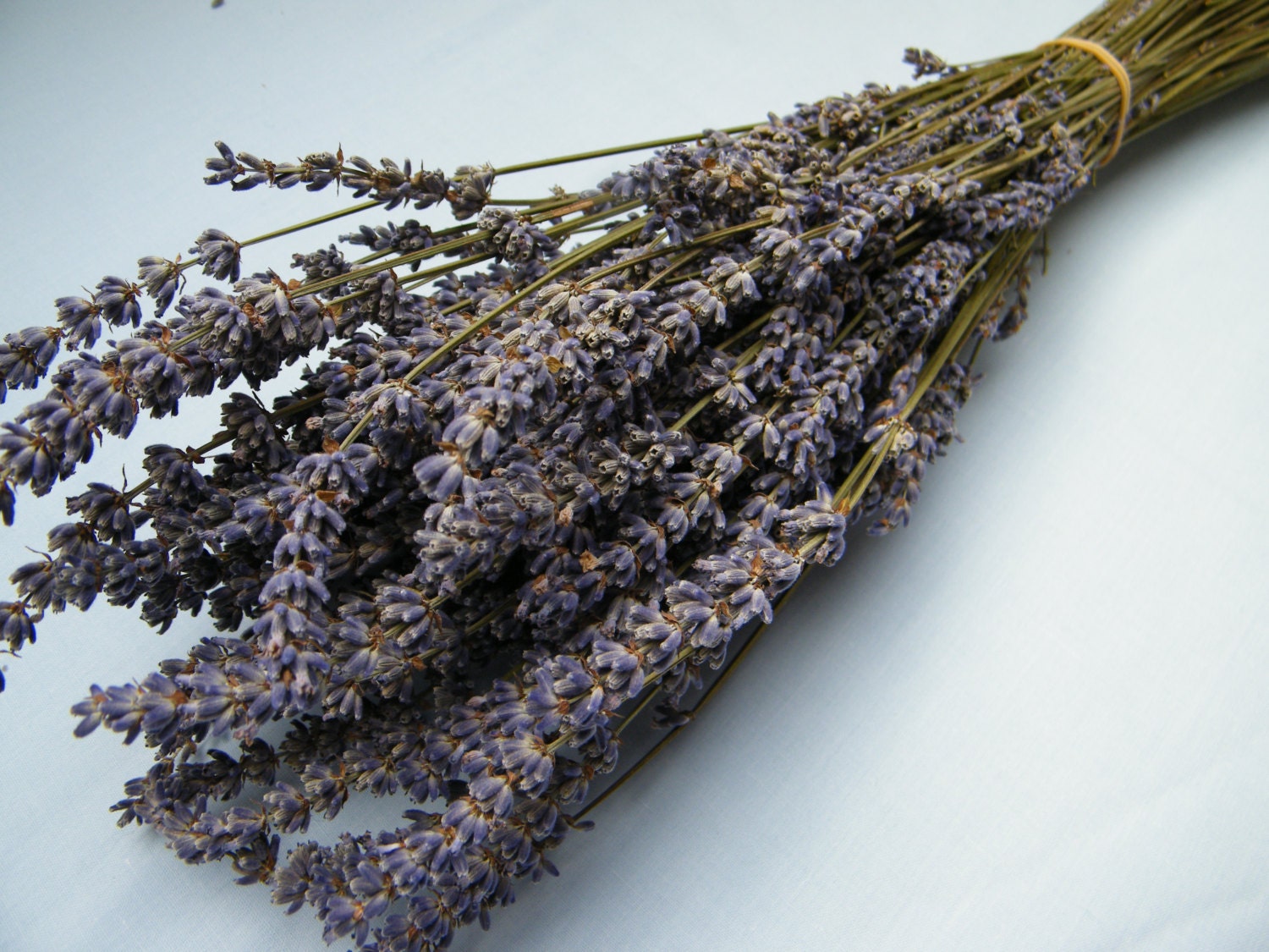 French dried lavender bunch from Provence