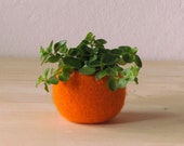 Felt succulent planter / felted bowl / Succulent pod / pumpkin orange / festive decor