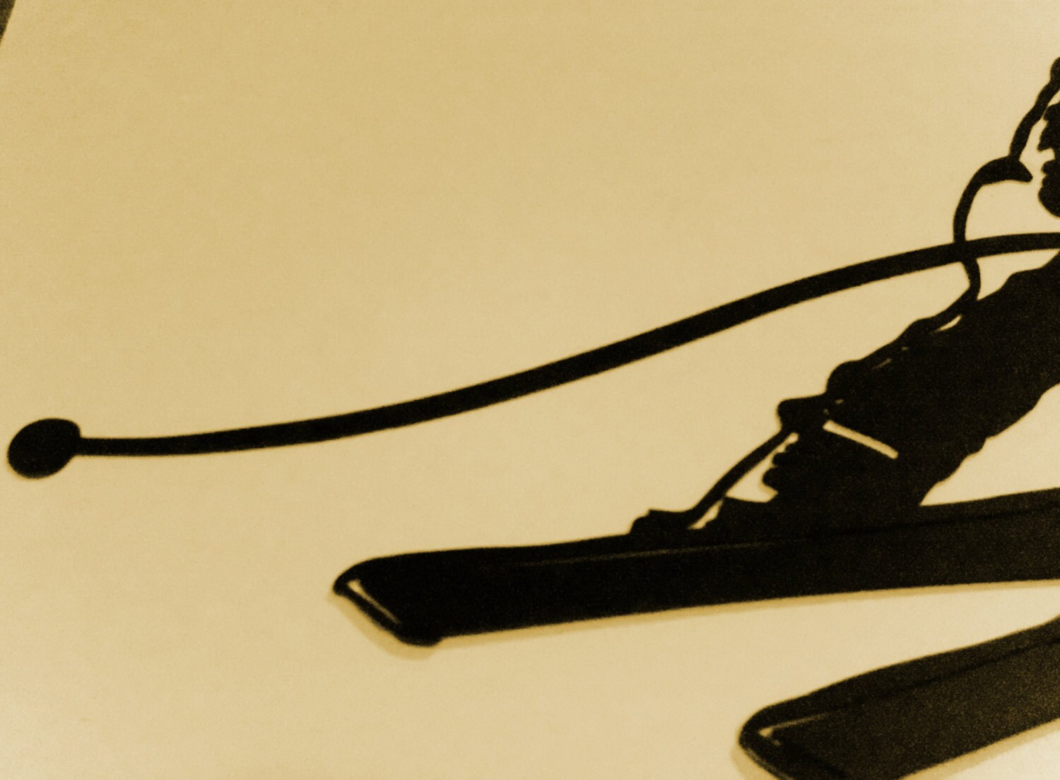 Ski Skier Snow Sport Skiing Wall art Metal Art Wall