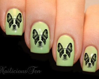 French Bulldog Design Nail Art Wraps Water Transfers 21pcs Decals ST8132