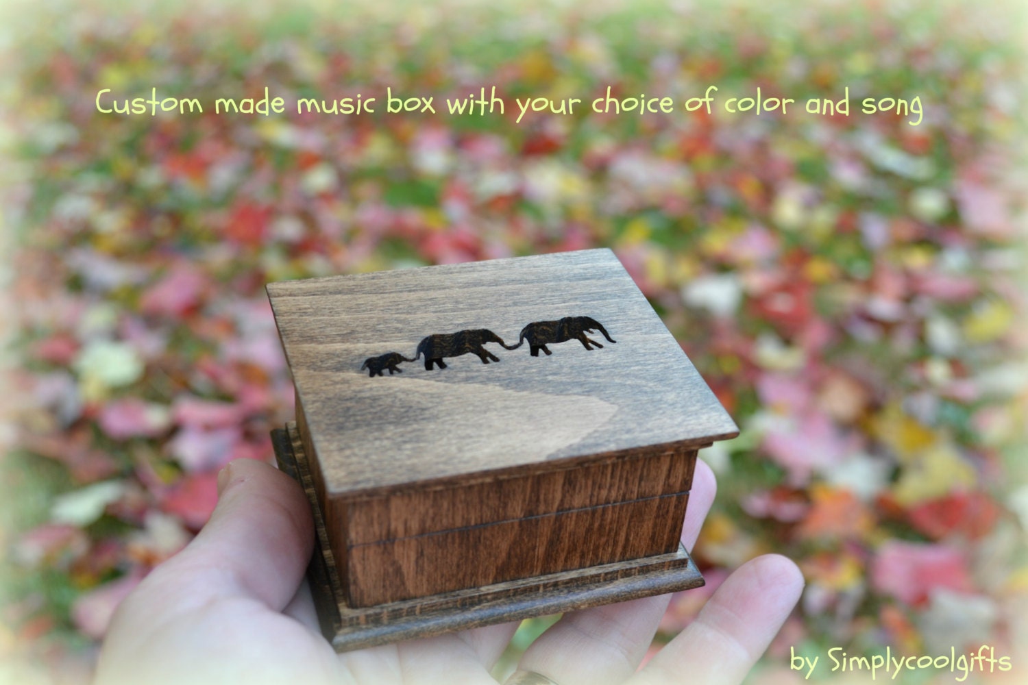 Custom Music Box